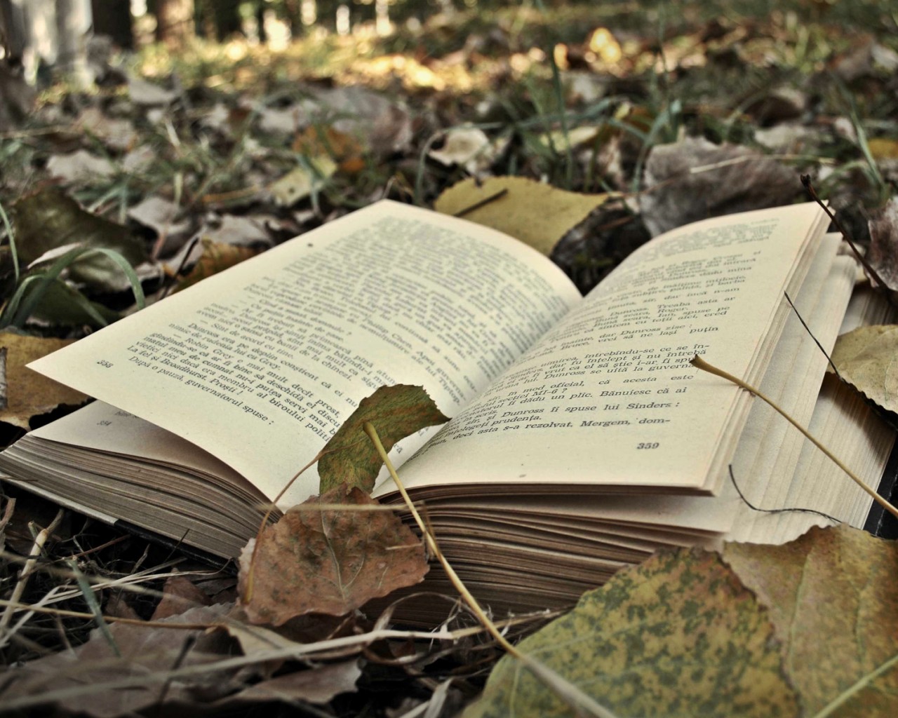 成人高考考試之前要做好哪些準(zhǔn)備?