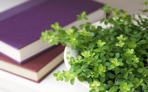 復(fù)習(xí)成人高考 在職人士