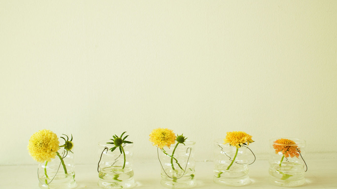 福建成人高考單科成績