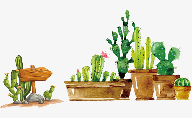 農(nóng)村人讀福建成人高考本科有用嗎