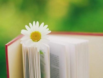 干貨:成人高考報考的一些常見問題及解答