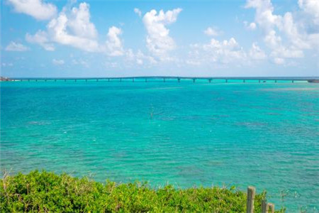 福建成考報考哪個專業比較好?