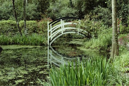 福建成考那些專業好考？