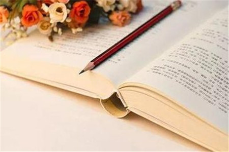 福建7類成考熱門專業工作好薪資高你知道嗎？