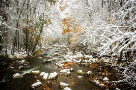 福建成人高考有哪些優勢