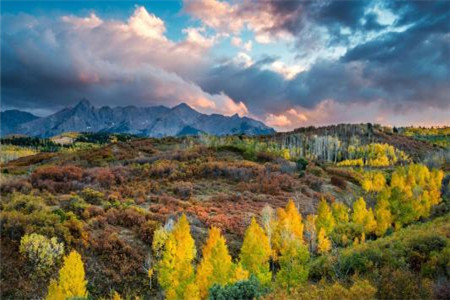 福建成考畢業時發什么樣的文憑?