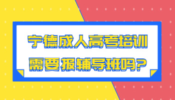 寧德成人高考培訓